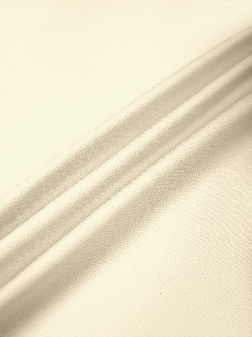 Archive Tee No.5 — Daily Light